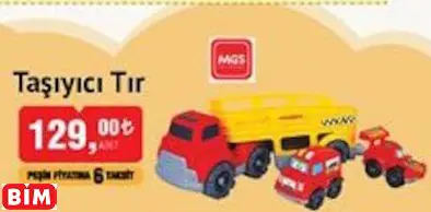 MGS TAŞIYICI TIR